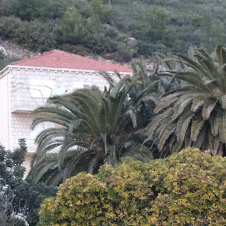 Crosurf Peljesac Lejlighed Kuciste