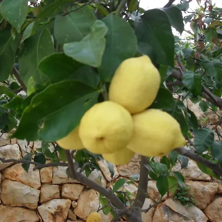 Crosurf Peljesac * Kuciste