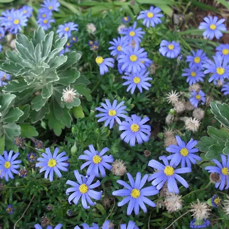 Crosurf Peljesac Lejlighed *