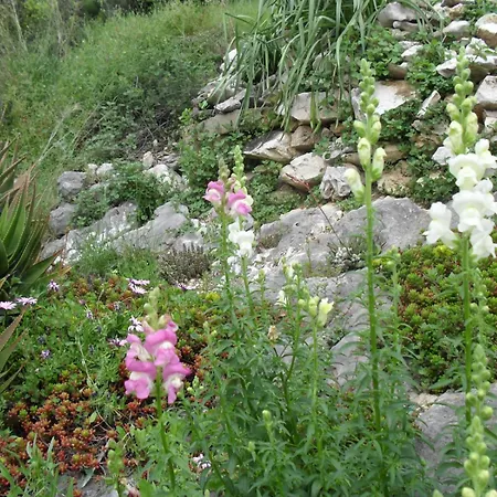 Crosurf Peljesac Appartement Kuciste