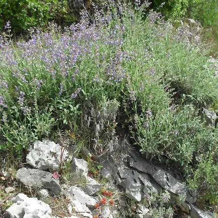 Crosurf Peljesac *