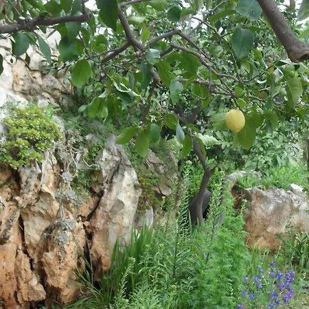 Appartement Crosurf Peljesac